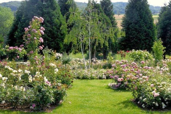 Landhaus Ettenbuehl Bed And Breakfast 巴特贝林根 外观 照片